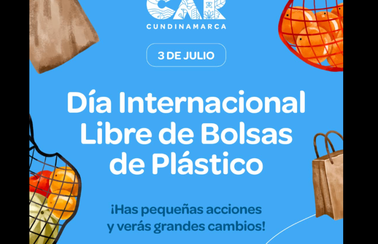 |Día Internacional Libre de Bolsas de Plástico|: pequeños cambios para un |planeta| más limpio