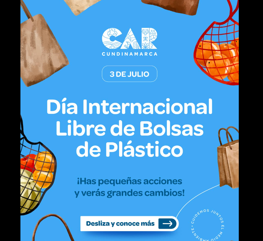 |Día Internacional Libre de Bolsas de Plástico|: pequeños cambios para un |planeta| más limpio