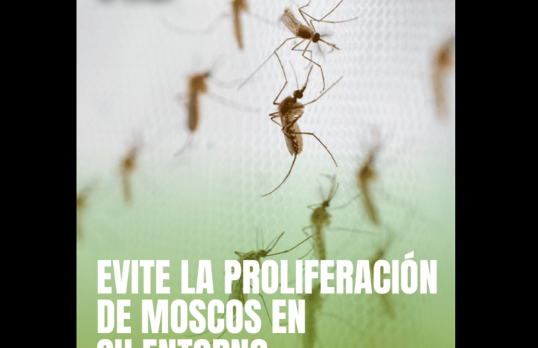 |Chía| refuerza recomendaciones para prevenir la proliferación de |mosquitos| ante efectos del |cambio climático|