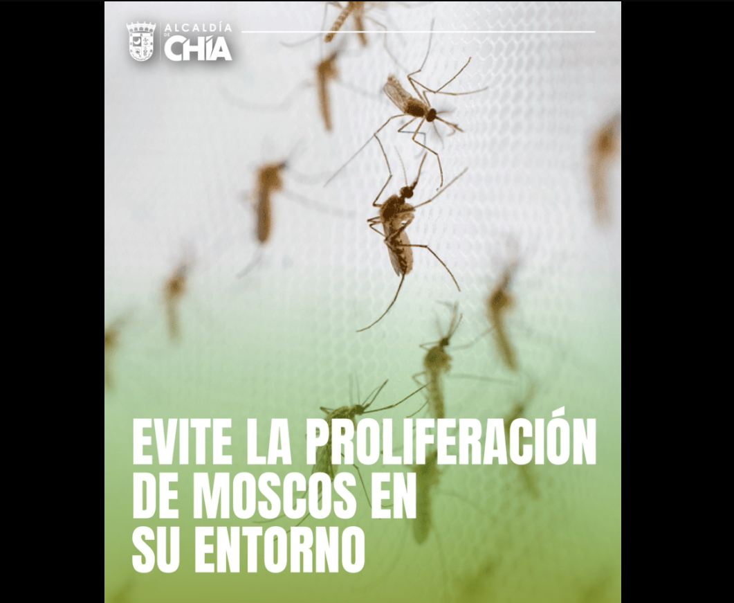 |Chía| refuerza recomendaciones para prevenir la proliferación de |mosquitos| ante efectos del |cambio climático|