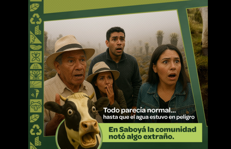 La |CAR| interviene en |Saboyá| para proteger fuente hídrica del |páramo Iguaque-Merchán|