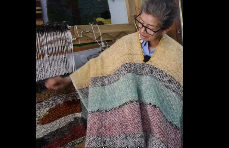 Rosa María Moyano: Tres décadas de |tradición artesanal| en |Cajicá| + Video