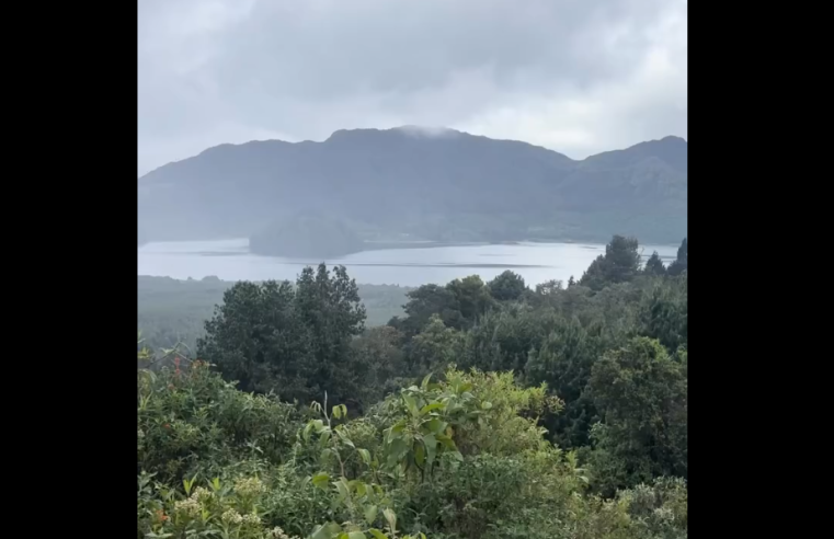 Nuevo |sendero El Cable| invita a explorar la biodiversidad del |Embalse del Neusa| + Video