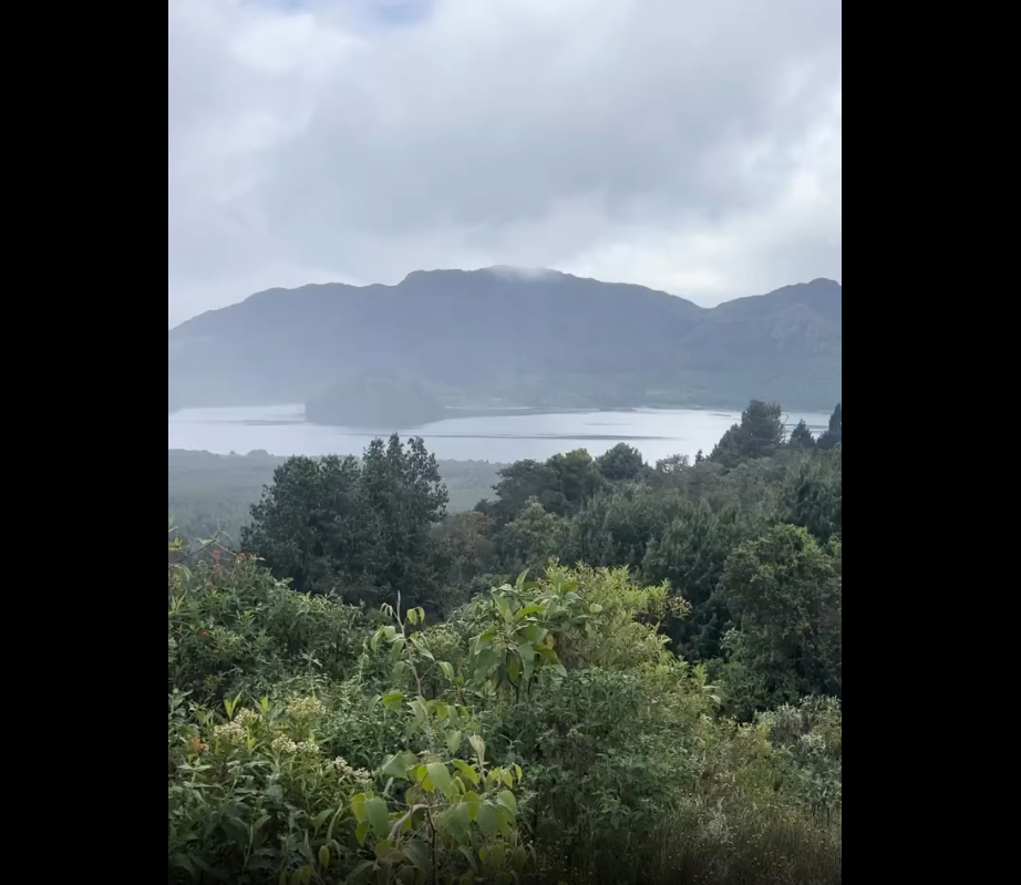 Nuevo |sendero El Cable| invita a explorar la biodiversidad del |Embalse del Neusa| + Video