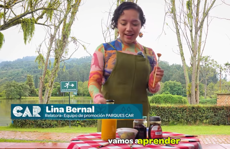 |ECOARTE|: talleres ambientales enseñan a crear pinturas con pigmentos naturales en el |Parque Embalse del Neusa| + Video