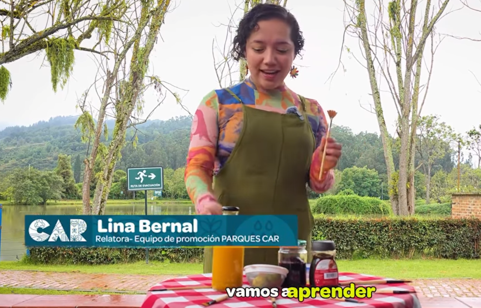 |ECOARTE|: talleres ambientales enseñan a crear pinturas con pigmentos naturales en el |Parque Embalse del Neusa| + Video