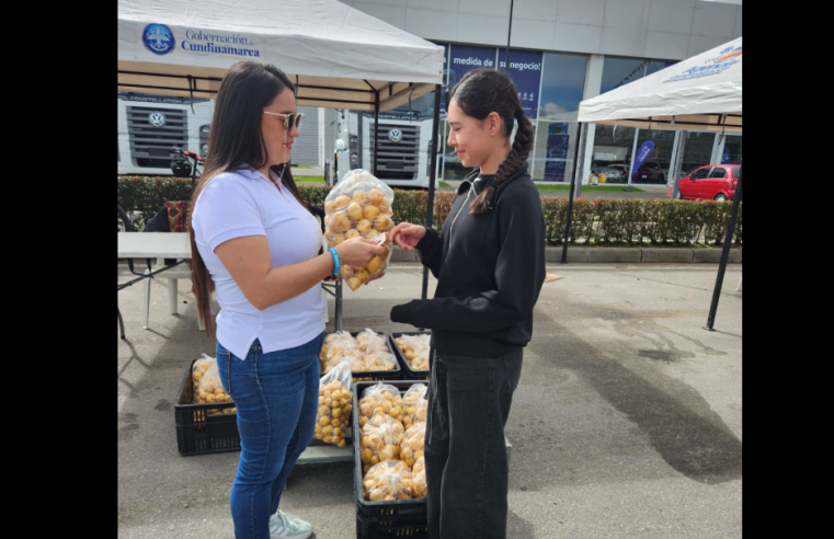Estrategia “Cundipapa” permitió la comercialización de más de 13.500 kilos de papa durante el fin de semana del |20 de julio|