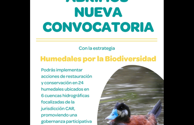 Abren convocatoria para liderar acciones de |conservación en humedales| de la región