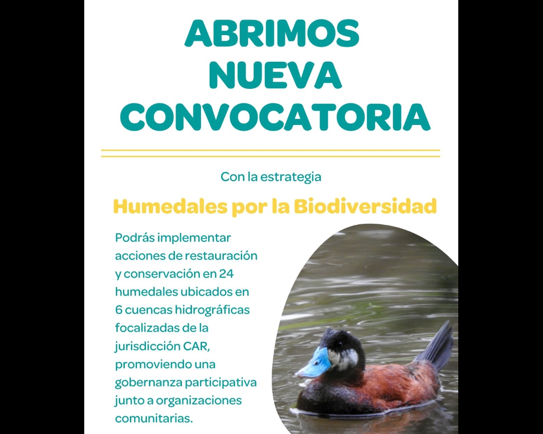 Abren convocatoria para liderar acciones de |conservación en humedales| de la región