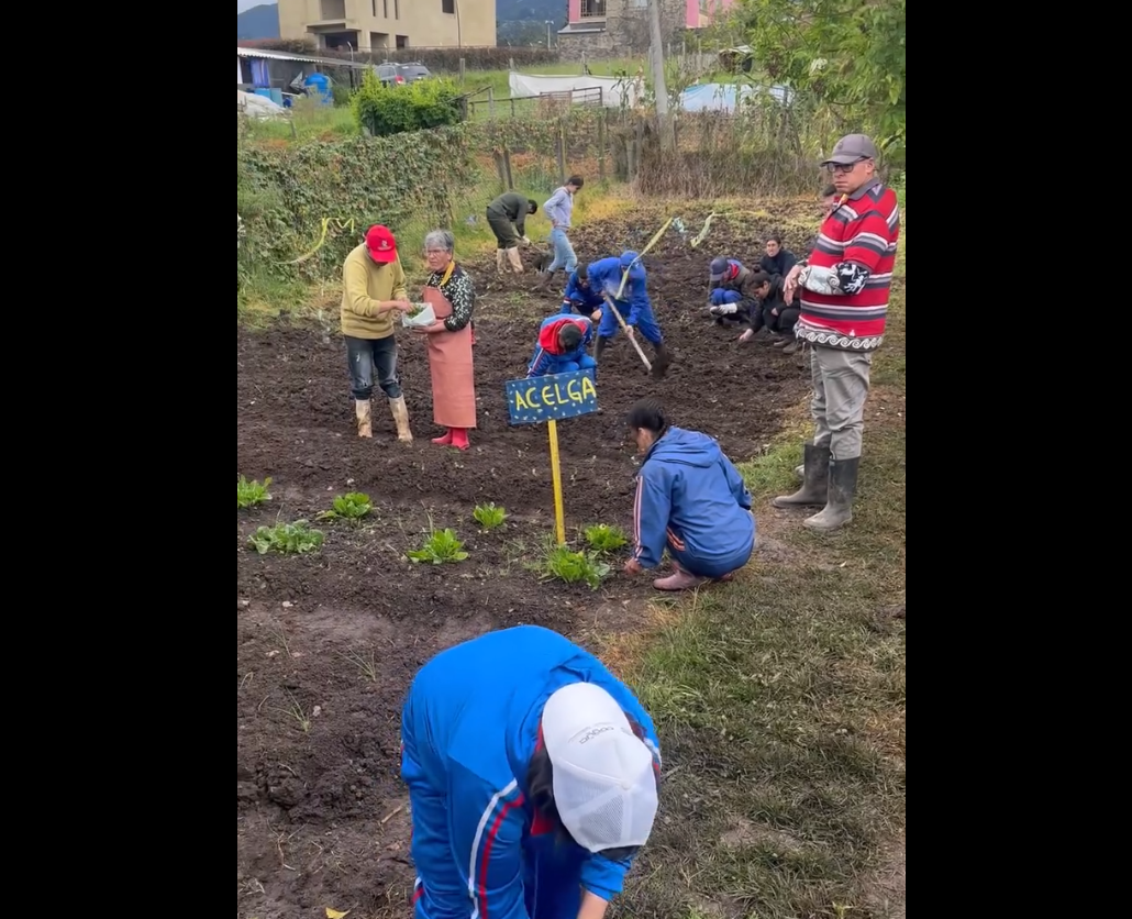 Huerta del CENDEC fortalece habilidades para la vida en |personas con discapacidad| + Video