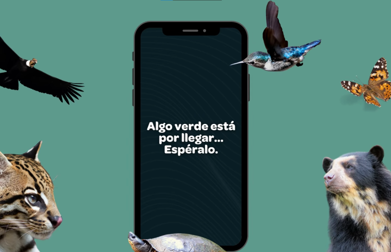 Se avecina una nueva |herramienta ambiental| en |WhatsApp| + Video