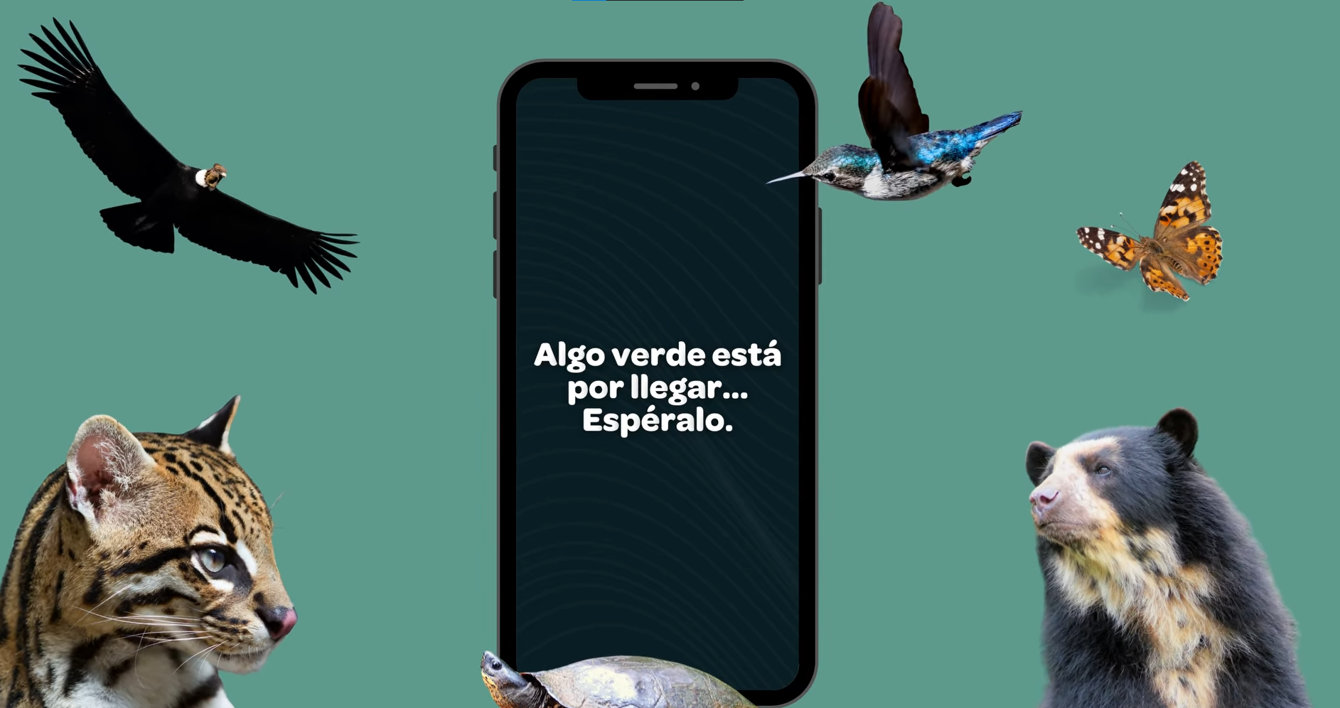 Se avecina una nueva |herramienta ambiental| en |WhatsApp| + Video