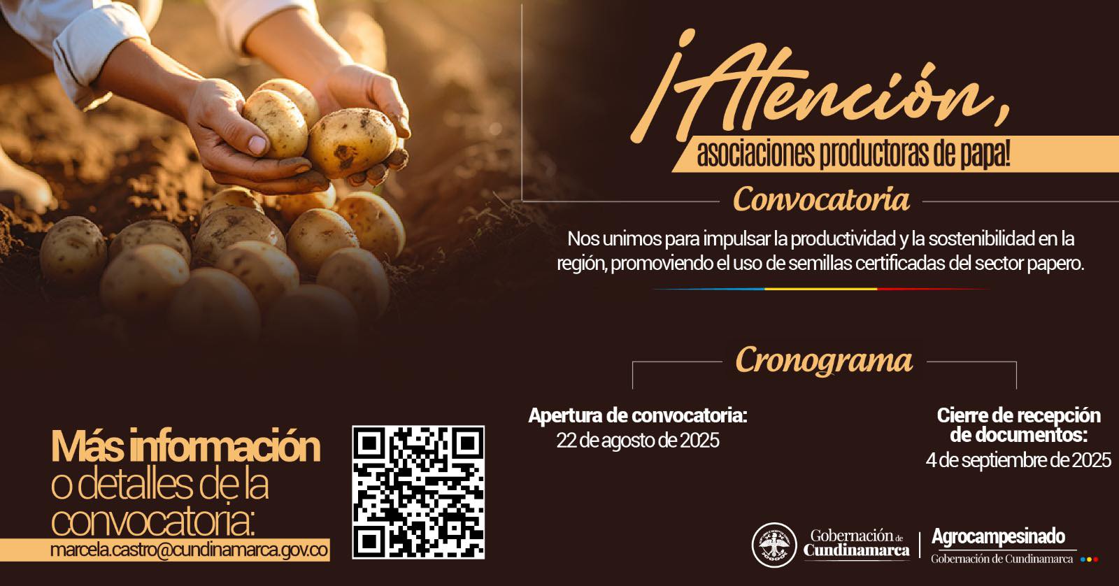 |Cundinamarca| abre convocatoria para asociaciones paperas en alianza con |Fedepapa|