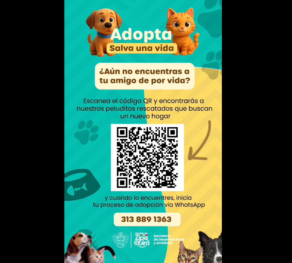 |Perritas rescatadas| encuentran un nuevo hogar lleno de amor en |Zipaquirá|+ Video