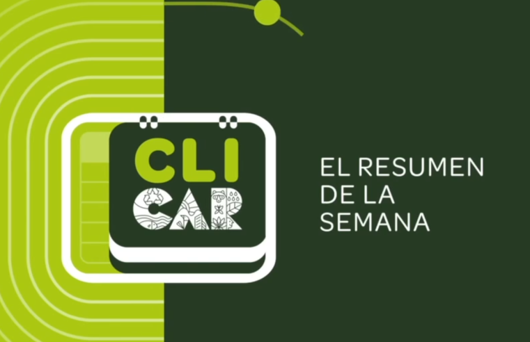 |CAR| adelanta acciones ambientales y promueve iniciativas sostenibles en la región + Video