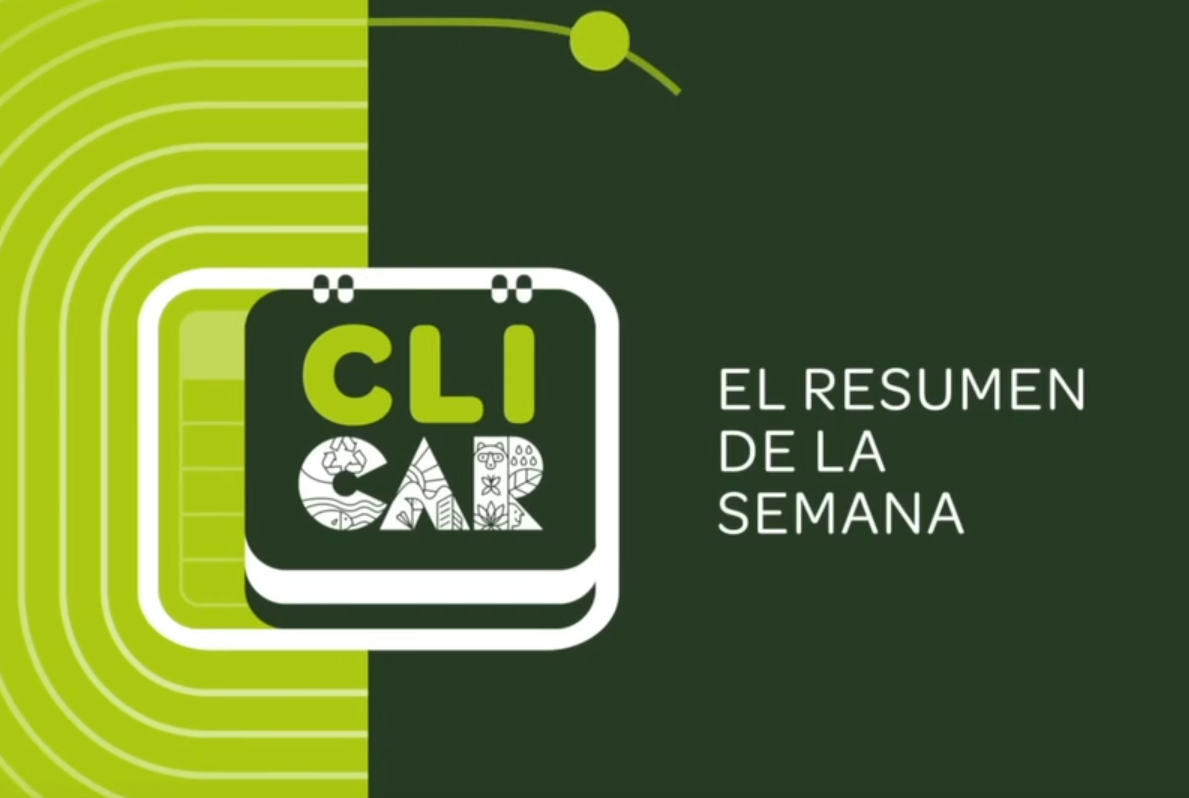 |CAR| adelanta acciones ambientales y promueve iniciativas sostenibles en la región + Video