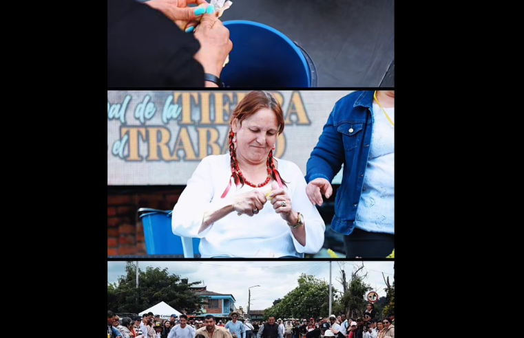 |Festival de la Tierra y el Trabajo| en |Tabio| invita a disfrutar de |juegos tradicionales| + Video
