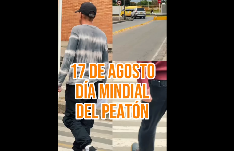 |Chía| conmemora el |Día Mundial del Peatón| con llamado a la |seguridad vial| + Video