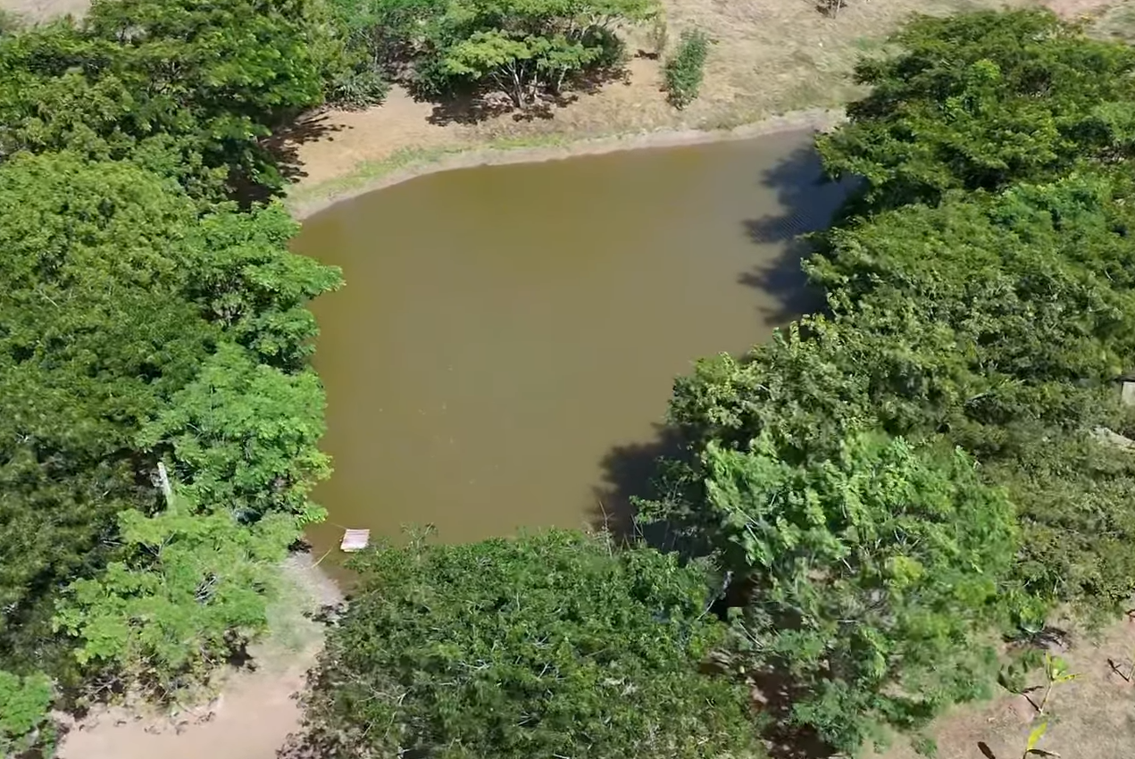 |Cundinamarca| refuerza medidas de compensación ambiental en proyectos con permisos + Video