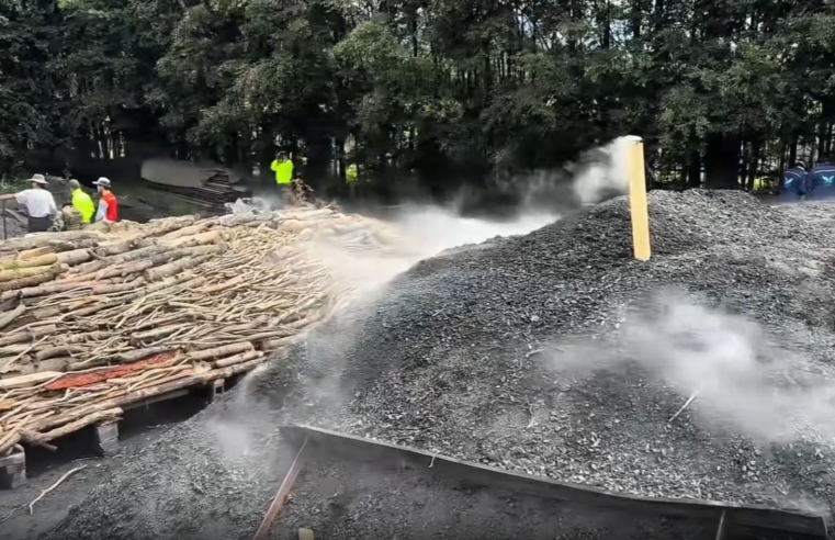 Operativo en |Suba| suspende quemas ilegales de |carbón vegetal| + Video