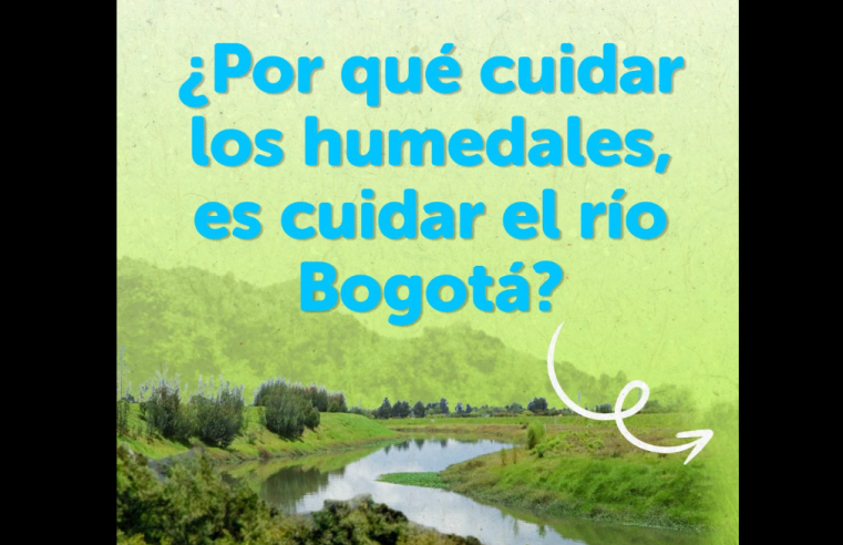 Cuidar los |humedales|, una apuesta por el futuro sostenible del |río Bogotá|