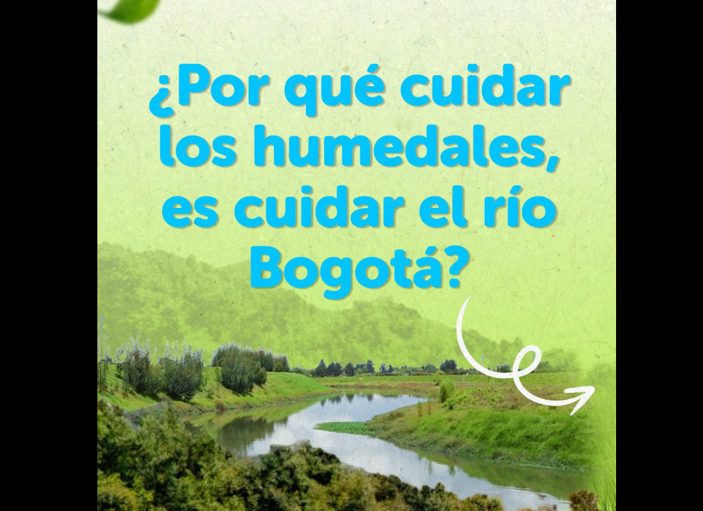 Cuidar los |humedales|, una apuesta por el futuro sostenible del |río Bogotá|