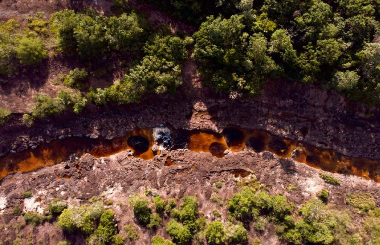 |Foro de Turismo| de Naturaleza será parte de la |Cumbre Ambiental 2025| + Video