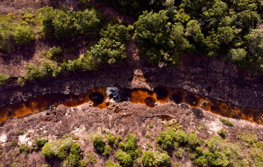 |Foro de Turismo| de Naturaleza será parte de la |Cumbre Ambiental 2025| + Video