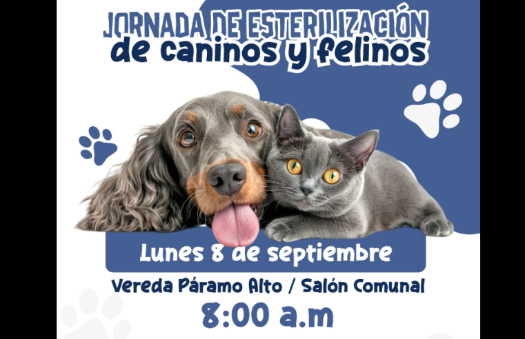 Jornada de |esterilización de mascotas| en la vereda Páramo Alto de |Cogua|