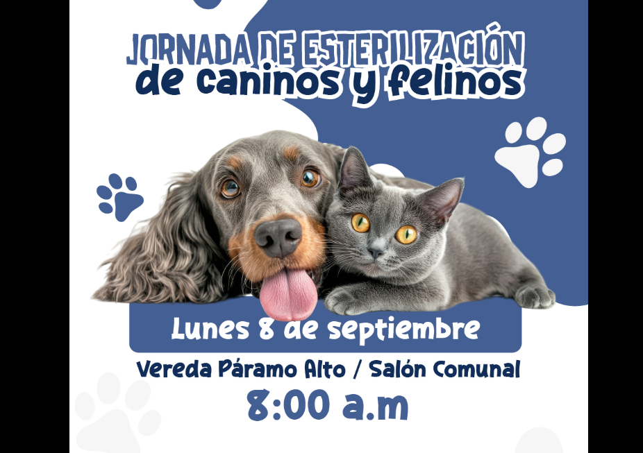 Jornada de |esterilización de mascotas| en la vereda Páramo Alto de |Cogua|