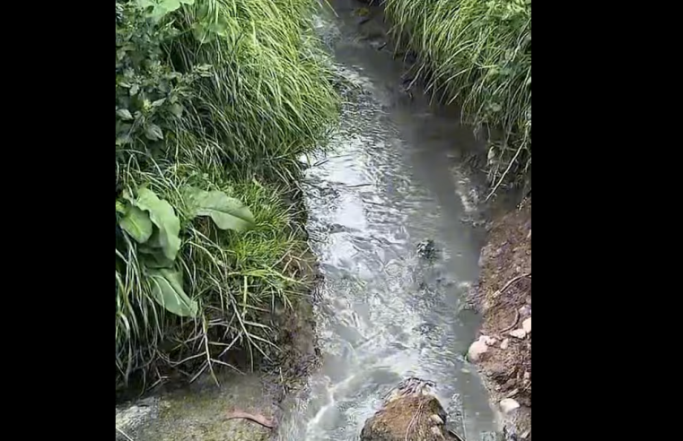 Suspenden |vertimientos ilegales| cerca del nacimiento del |río Bogotá| en |Chocontá| + Video