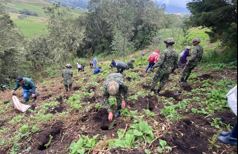 |Cogua| conmemora el Día de la |Biodiversidad| con |caminata ecológica| y jornada de siembra