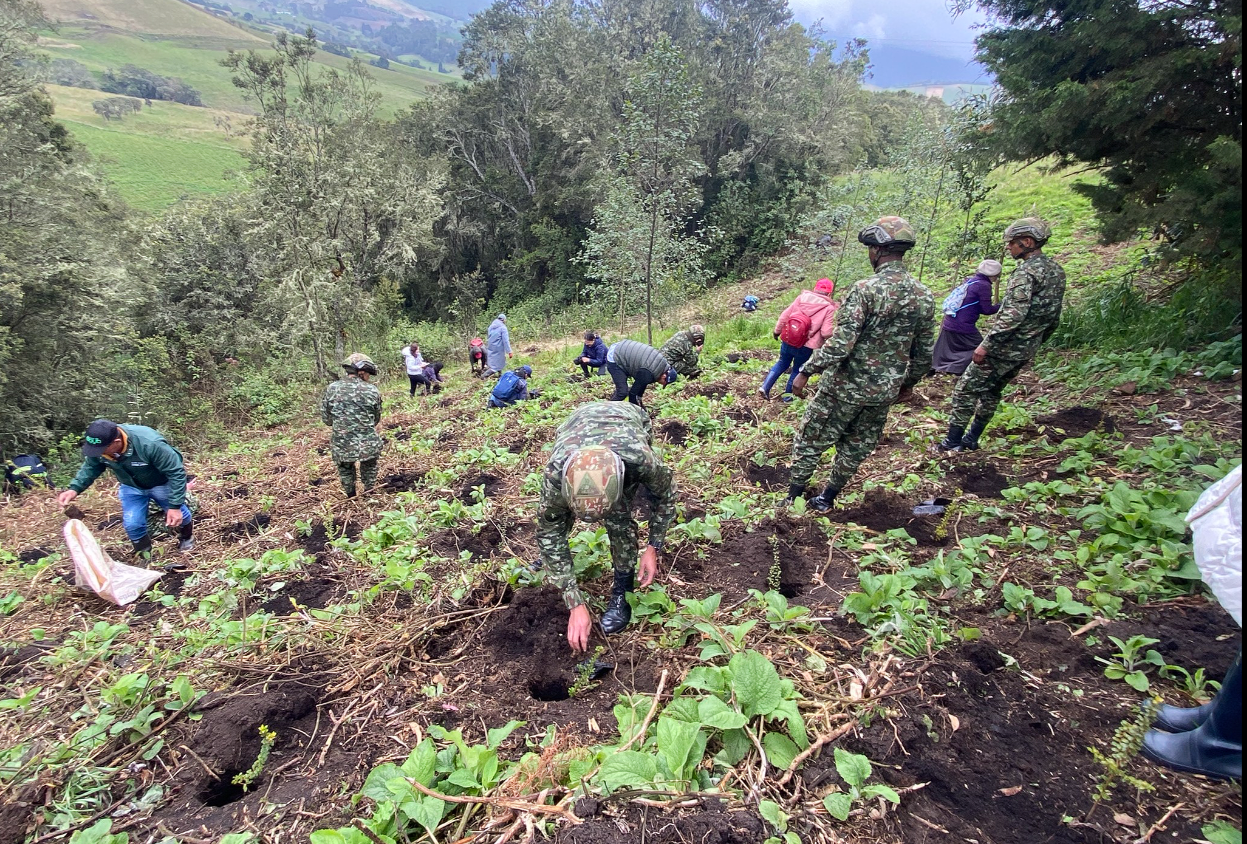 |Cogua| conmemora el Día de la |Biodiversidad| con |caminata ecológica| y jornada de siembra