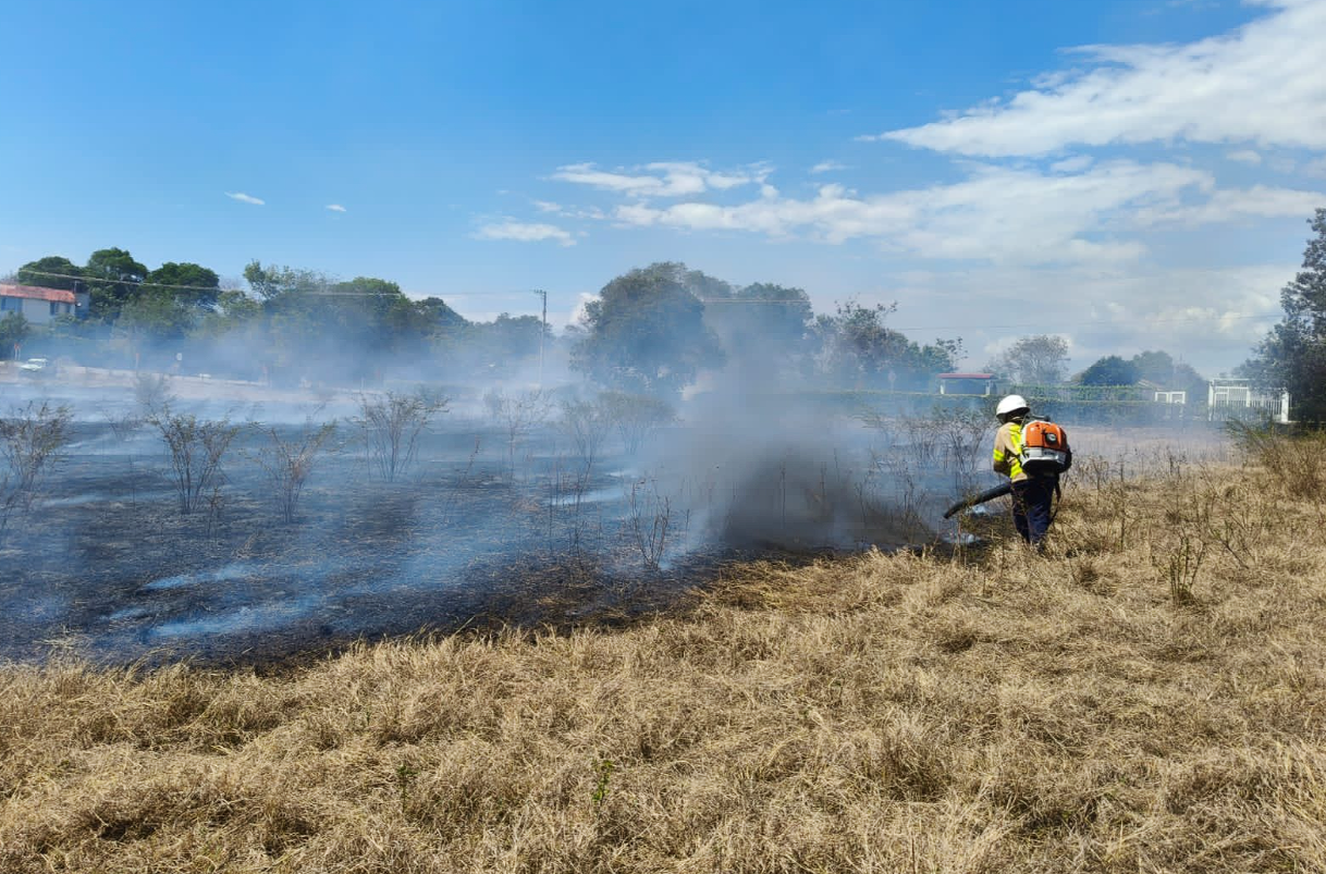 |Incendios forestales| afectan a más de 83 hectáreas en diferentes provincias de |Cundinamarca|