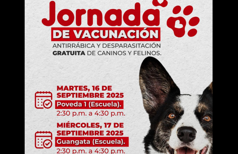 |Jornada gratuita| de vacunación antirrábica y |desparasitación en mascotas| en |Tenjo|