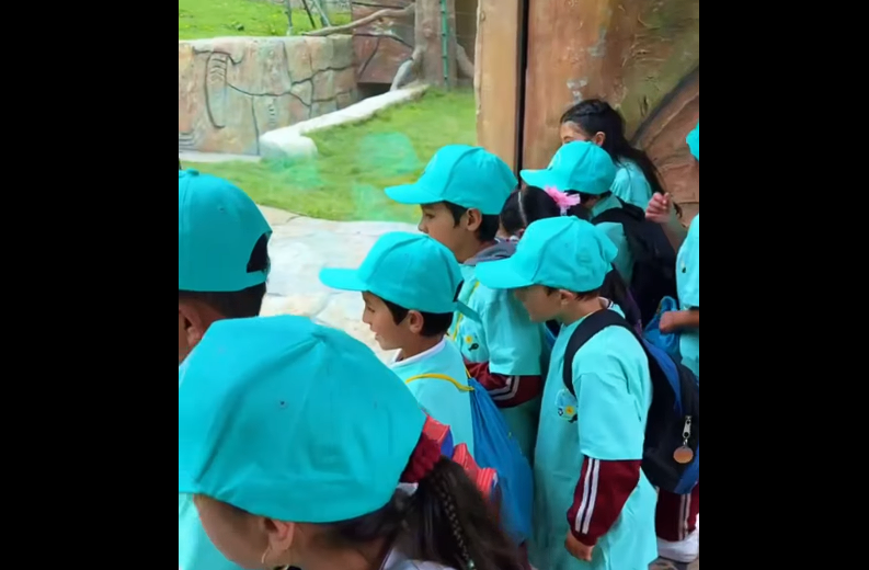 Niños de |Zipaquirá| aprenden sobre el p|áramo Guerrero| a través de e|xperiencias divertidas| + Video