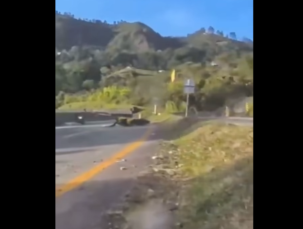 |Cundinamarca| refuerza controles ante |incremento de muertes| en |siniestros viales| + Video