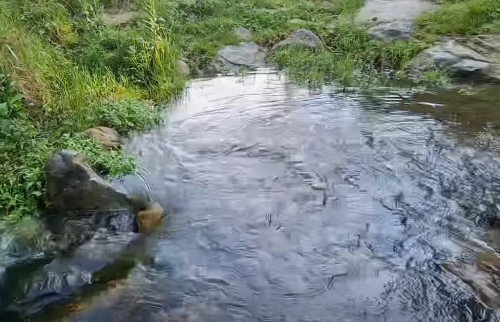 Programa |Agua Vida| Rural invita a legalizar |acueductos comunitarios| + Video