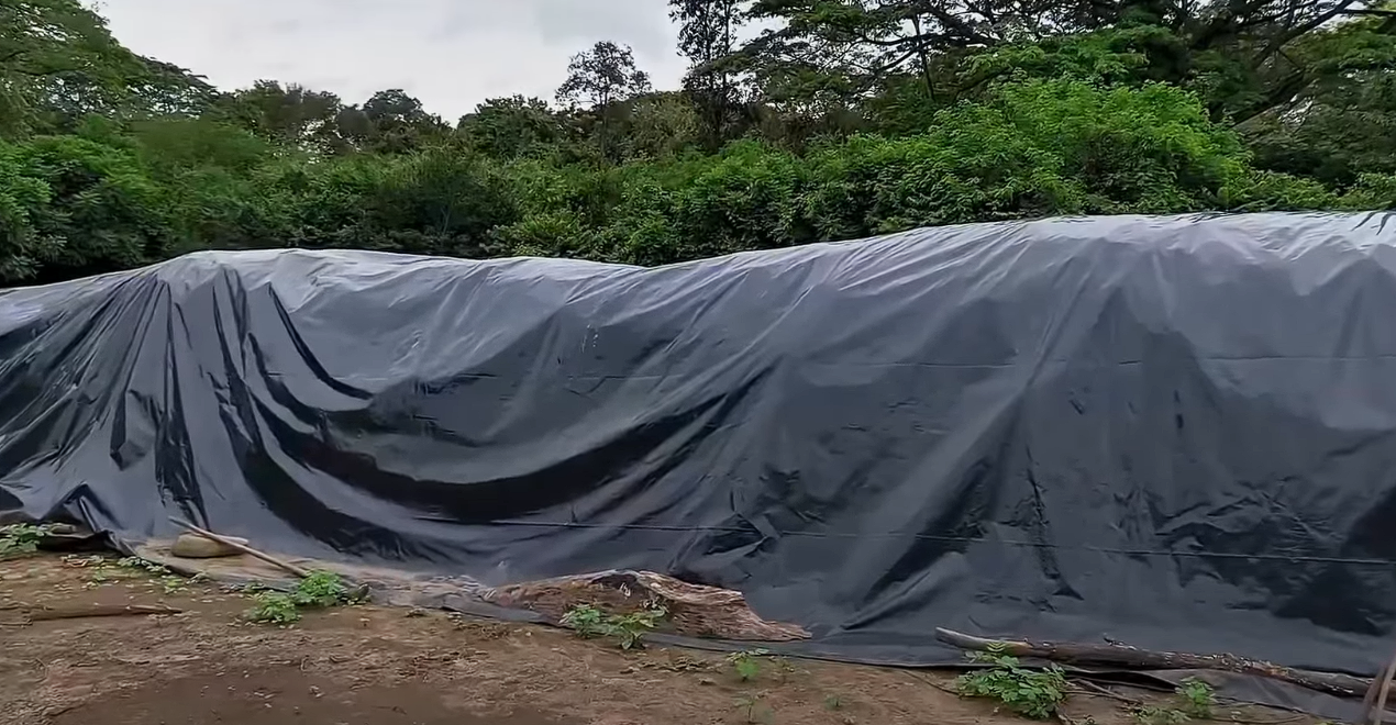 |Suspenden actividad ilegal| de procesamiento de pieles en zona protegida de |Guaduas| + Video
