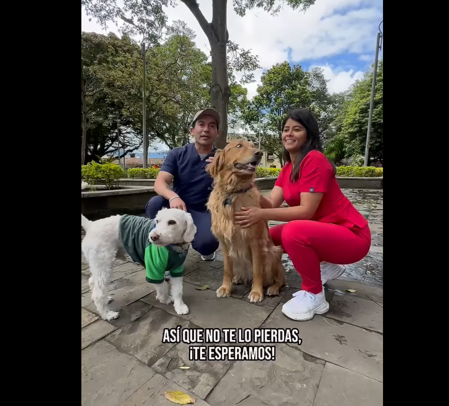 Municipio celebrará el |Día de los Animales| con jornada especial para |mascotas| + Video