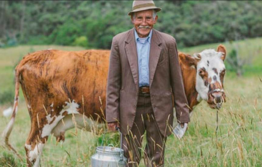 |Tabio| se alista para celebrar el |Día del Ganadero| + Video