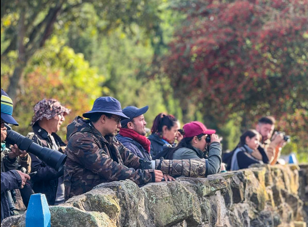 |Sopó| celebra el “October Big Day” con la observación de más de |40 especies de aves|