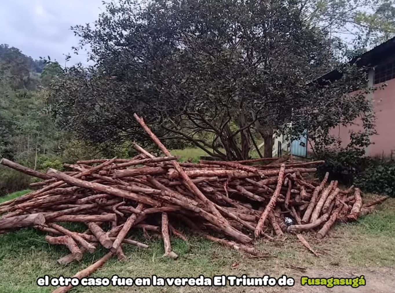 Autoridades detienen |tala| y |quema ilegal| en zonas de bosque seco tropical de |Cundinamarca| + Video