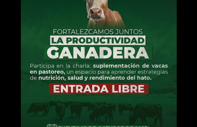 |Tenjo| realizará charla sobre suplementación de |vacas| en pastoreo