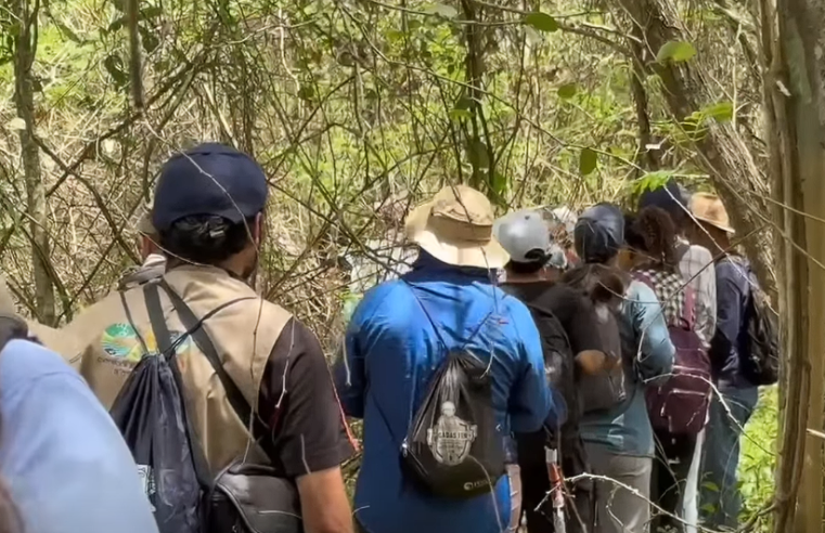 |Cundinamarca| se destacó a nivel nacional en el |October Big Day| por su participación y diversidad de |aves| + Video
