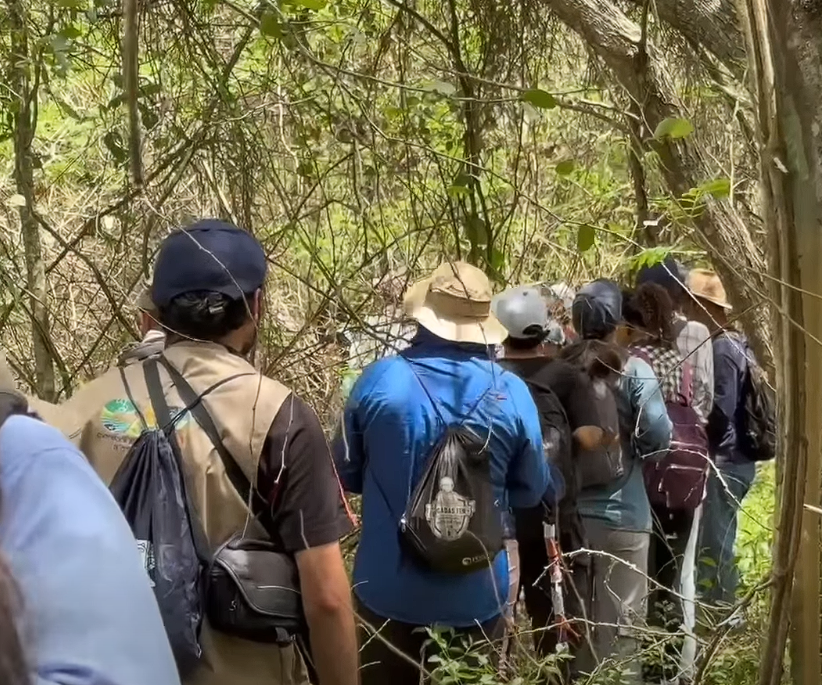 |Cundinamarca| se destacó a nivel nacional en el |October Big Day| por su participación y diversidad de |aves| + Video
