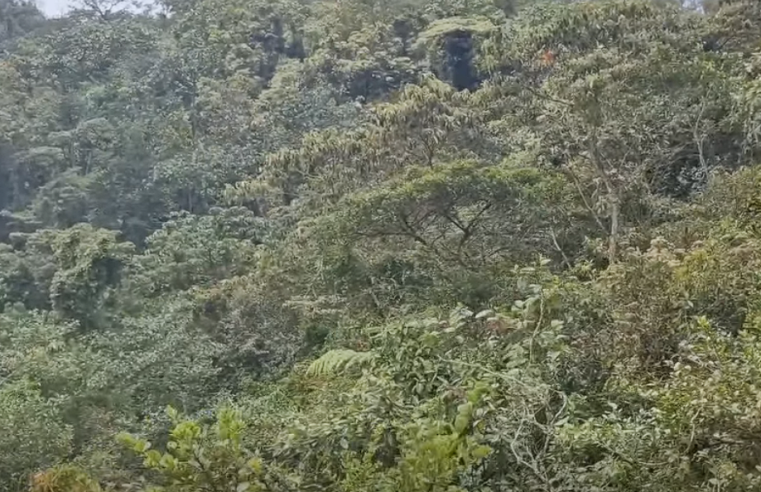Avanza la recategorización de la |Reserva Peñas del Aserradero| para integrarse al |Sistema Nacional de Áreas Protegidas| 🌳⛰️ + Video