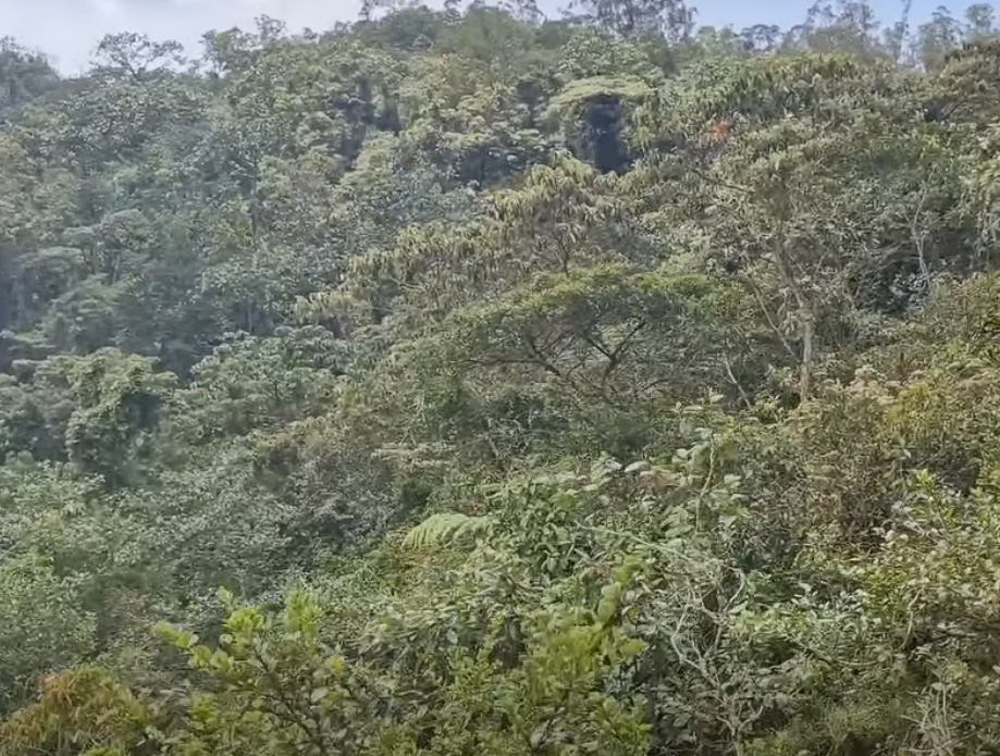 Avanza la recategorización de la |Reserva Peñas del Aserradero| para integrarse al |Sistema Nacional de Áreas Protegidas| 🌳⛰️ + Video