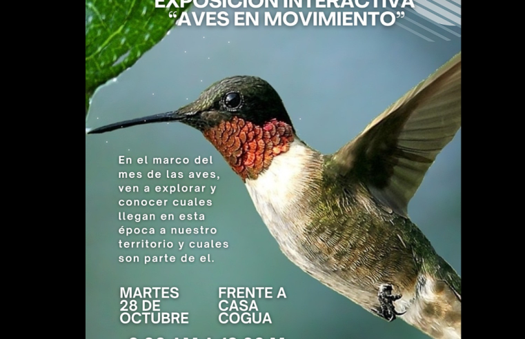 |Cogua| celebra el |Mes de las Aves| con la exposición interactiva “Aves en Movimiento”