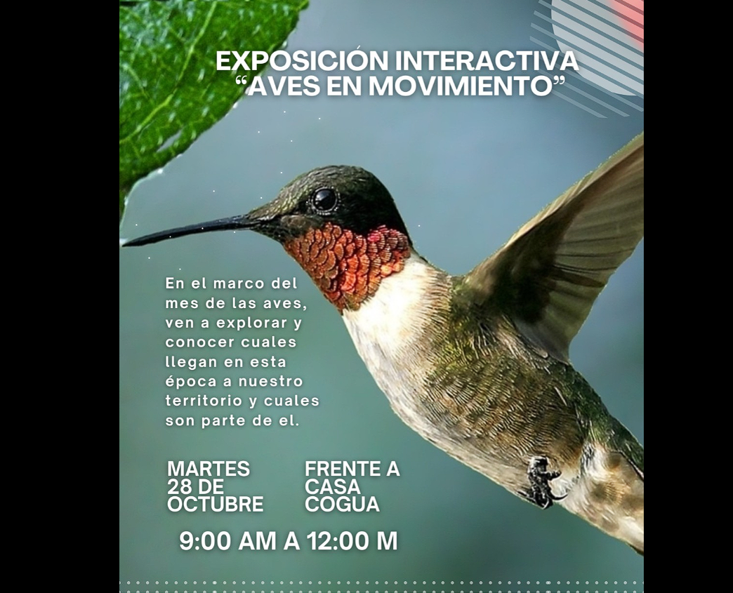 |Cogua| celebra el |Mes de las Aves| con la exposición interactiva “Aves en Movimiento”